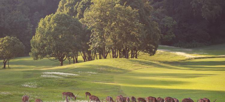 戈卡纳森林度假村酒店(Gokarna Forest Resort)图片