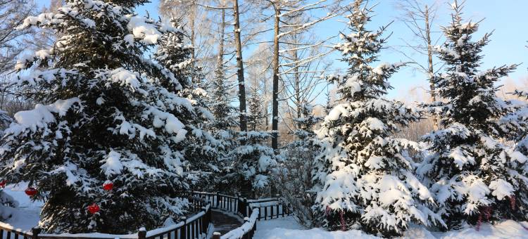 铁力逍遥八仙湖酒店图片
