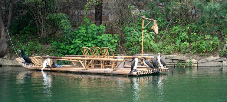 盐官潮乐之城水市酒店图片