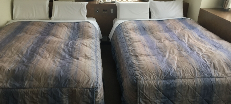 松山皇冠酒店(Hotel Crown Hills Matsuyama)图片