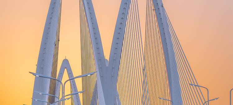 维克维尔·香江酒店(九莲洲生态湿地公园店)图片