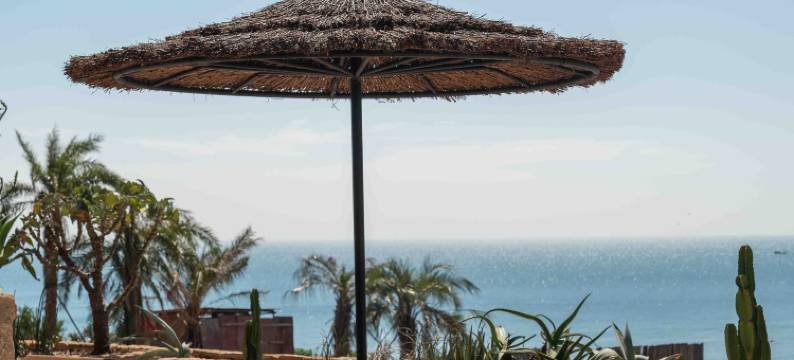 方岛丨巨鲸图片