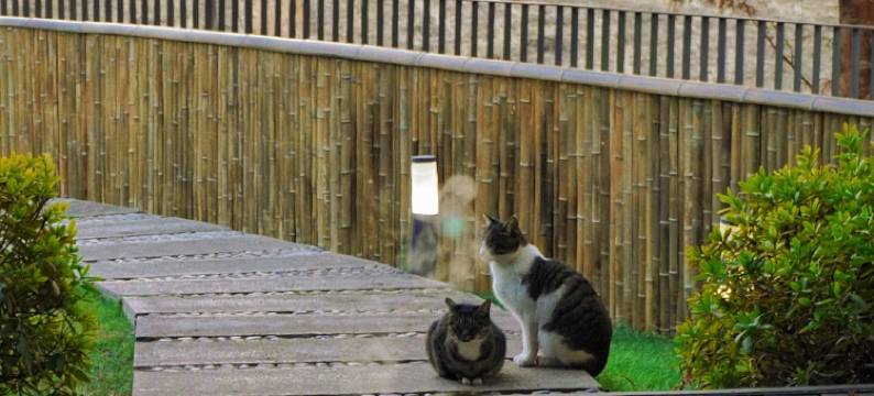 莫干山瀛轩温泉度假民宿图片