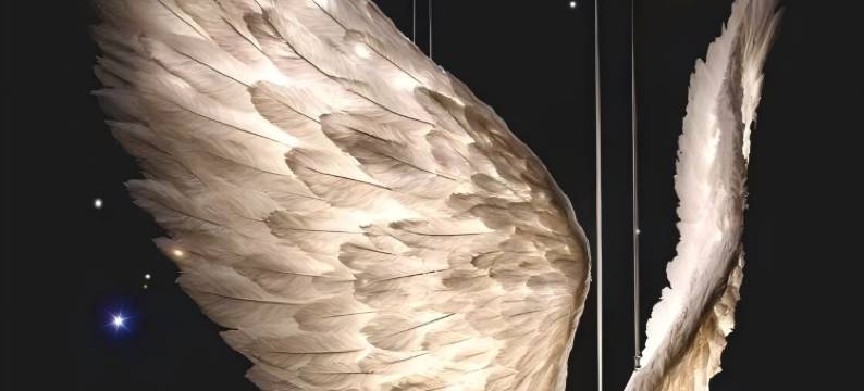 晋中千喜东方酒店(大学城定阳万达广场店)图片