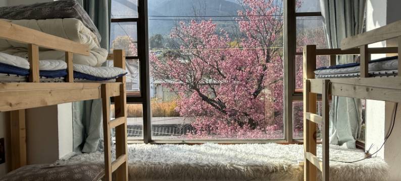 自由城·国际青年旅舍(大理古城三月街店)图片