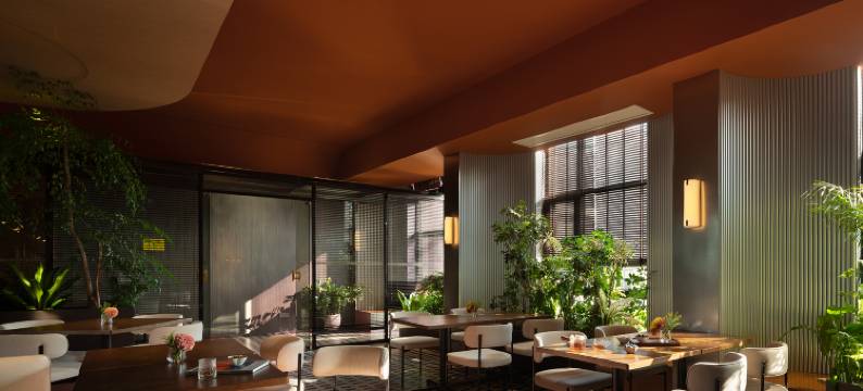 态酒店(长沙五一广场IFS国金中心店)图片