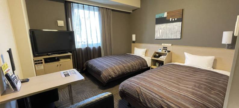 露樱酒店海老名站前店(Hotel Route-Inn Ebina Ekimae)图片