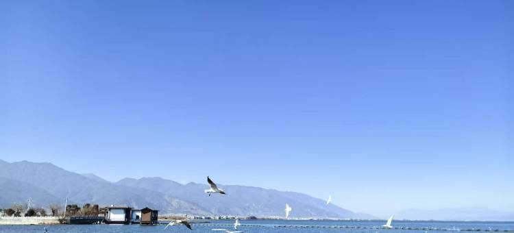 大理达瓦里舍海景客栈图片
