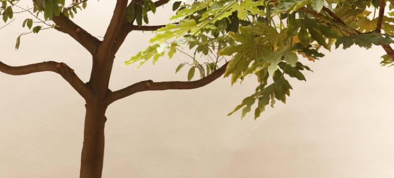 马让迪贝朗布阿城市酒店(Belambra Clubs & Hotels - le Magendie)图片