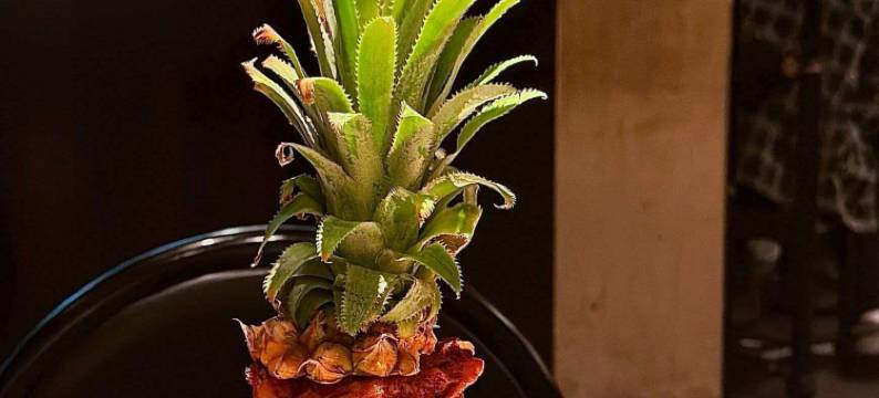 艺选酒店(大茂城丈八北路地铁站店)图片