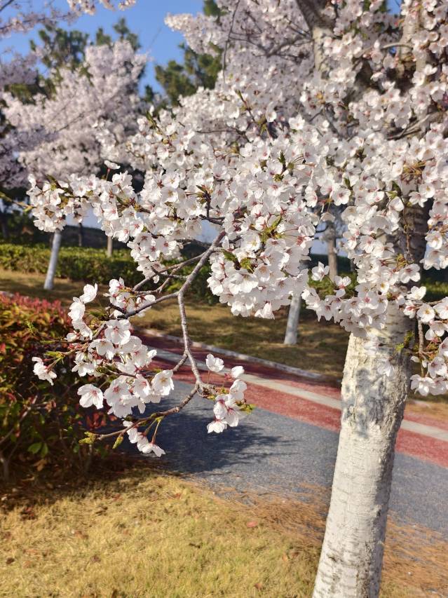 花筑·海边醒来民宿(逍遥湾海水浴场店)图片