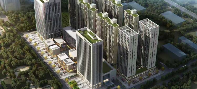 洛阳喜来登酒店图片