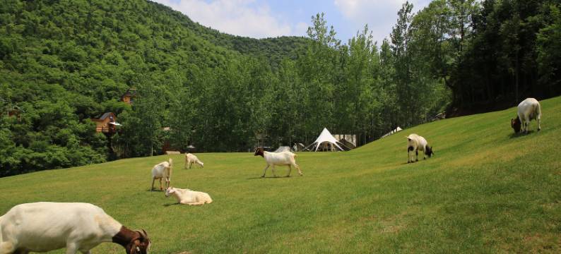 京山农场·营地酒店图片