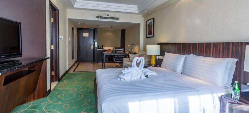 国际艺苑大酒店图片