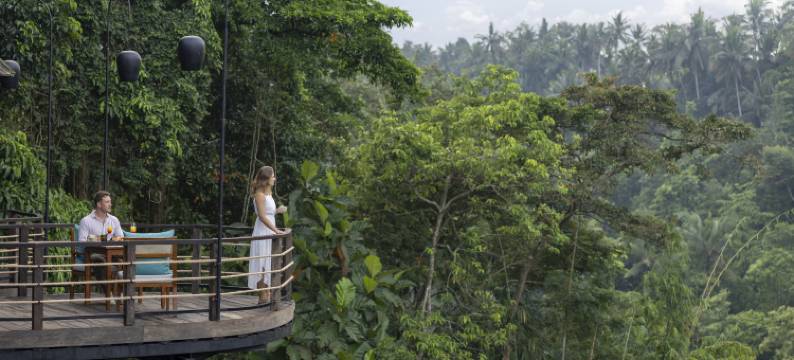 卡杨谷度假村(The Kayon Valley Resort Ubud (Adult Only))图片