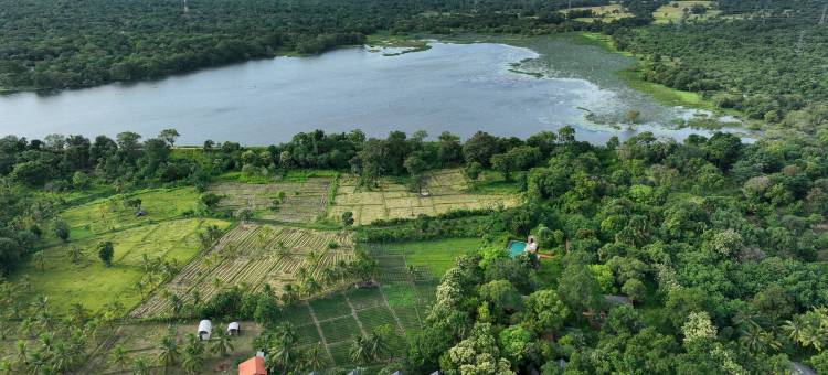 哈巴拉纳-塔鲁别墅玛雅(Taru Villas Maia - Habarana)图片