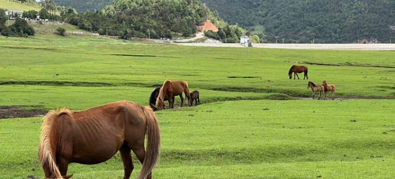 克什克腾旗诺明塔拉民宿图片