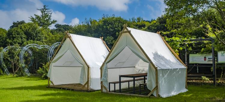 苏州樱桃民宿图片