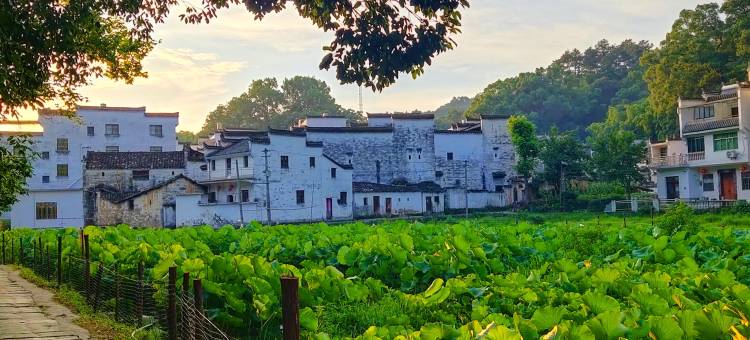 婺源晓起思缘居客栈图片