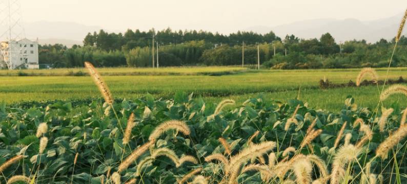 偏安一隅民宿图片