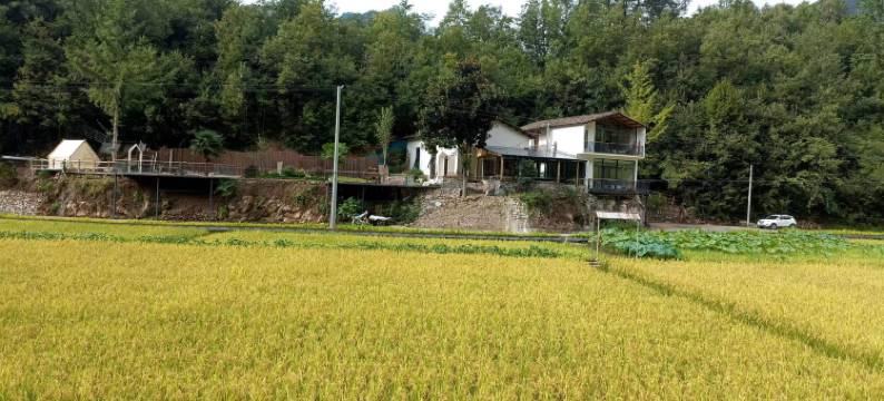 稻田舍民宿图片