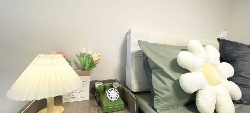 圈圈ins轻奢投影公寓(成都龙湖蜀新天街工业学院店)图片