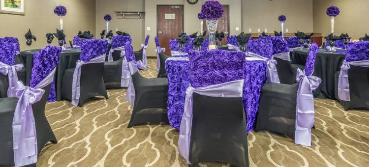 南菲尔德/底特律舒适套房酒店(Comfort Suites Southfield-Detroit)图片