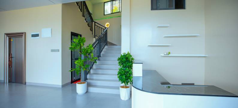 龙脊梯田旭日民宿图片