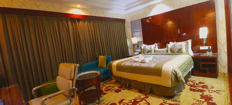 天空城市酒店(SkyCity Hotel Gurgaon)图片