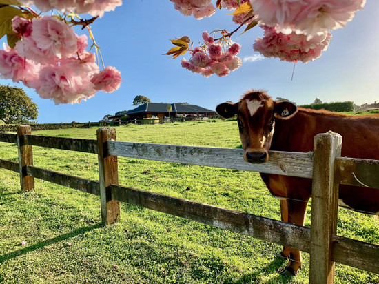 天堂休憩民宿酒店