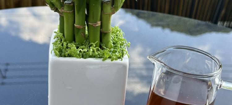 桐庐溪居枕水民宿(茆坪古村店)图片