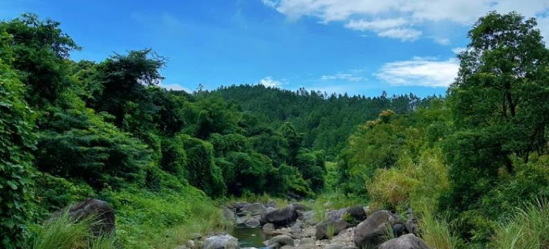 山风竹韵·溪畔亲子山野徒步度假美宿(安吉龙王山漂流店)图片