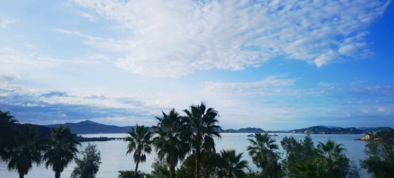 舟山中信普陀大酒店图片