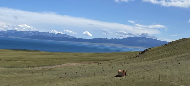 赛里木湖毡房姑娘牧家乐图片