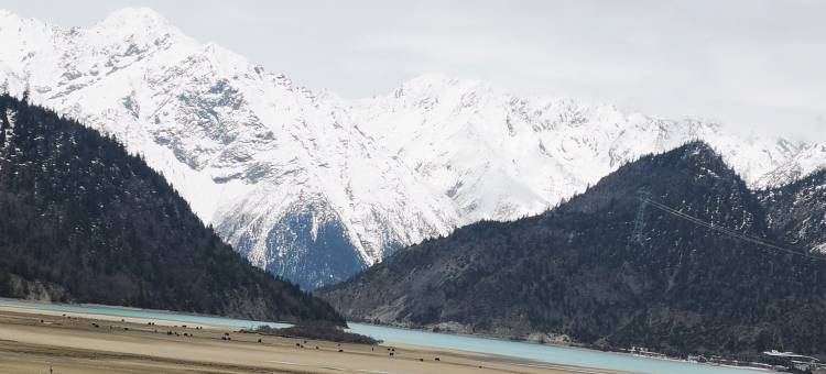几米酒店(然乌湖店)图片