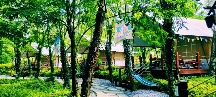 龙栖部落· 星空露营地(都匀杉木湖公园店)图片