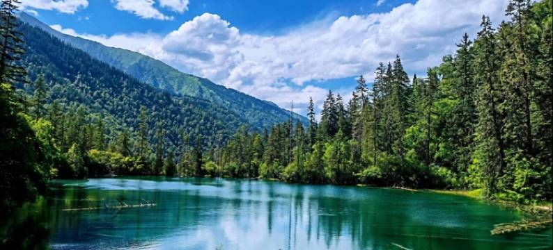 景画苑悦享民宿(九寨沟店)图片