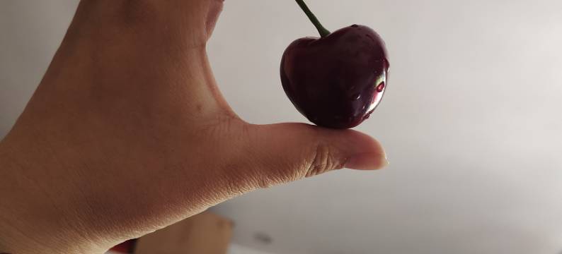 港湾旅馆(长春朝阳店)图片