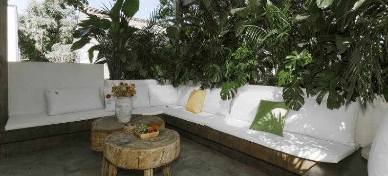 美树民宿(大理古城步行街红龙井店)图片