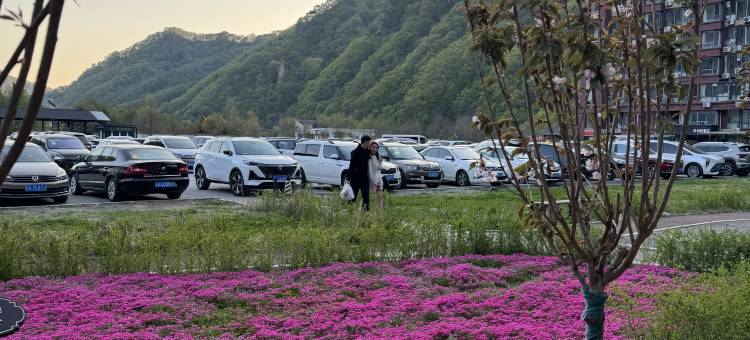 溪谷壹号红樱桃温泉民宿(本溪县绿石谷国家森林公园店)图片