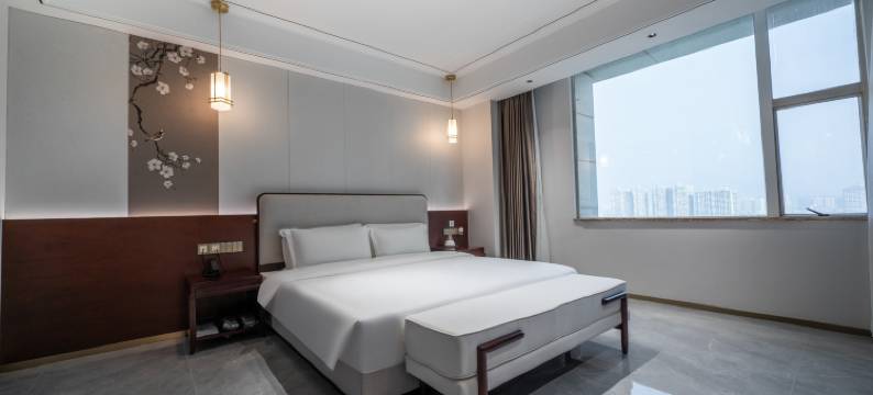 清远新好来登国际酒店图片