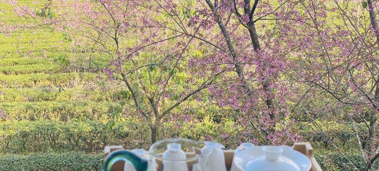 茶海云端民宿(沧源天润茶园店)图片