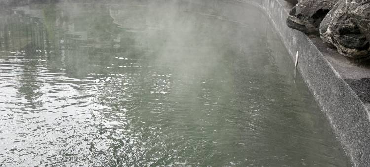 雅安隐栖古泉民宿(周公山旅游度假区店)图片