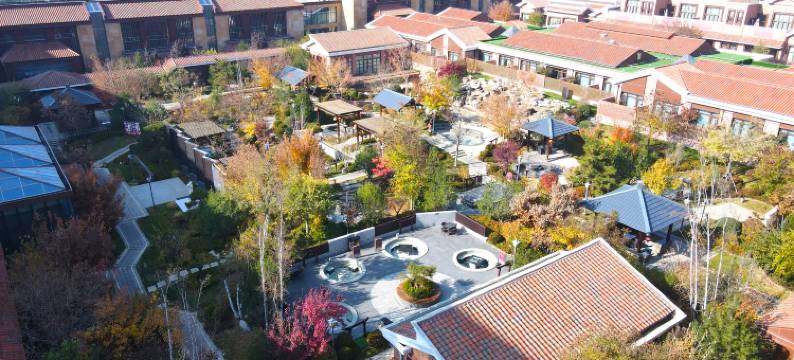 涞源白桦林温泉谷酒店图片