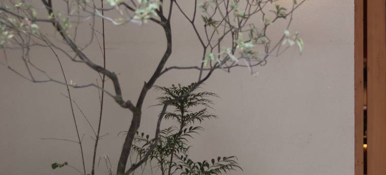 青荇草堂图片