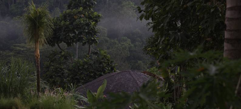贝拉鲁巴厘岛精品酒店及水疗体验(Belalu Bali Boutique & SPA experience)图片