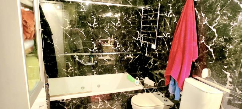 CENTRAL APARTMENT图片