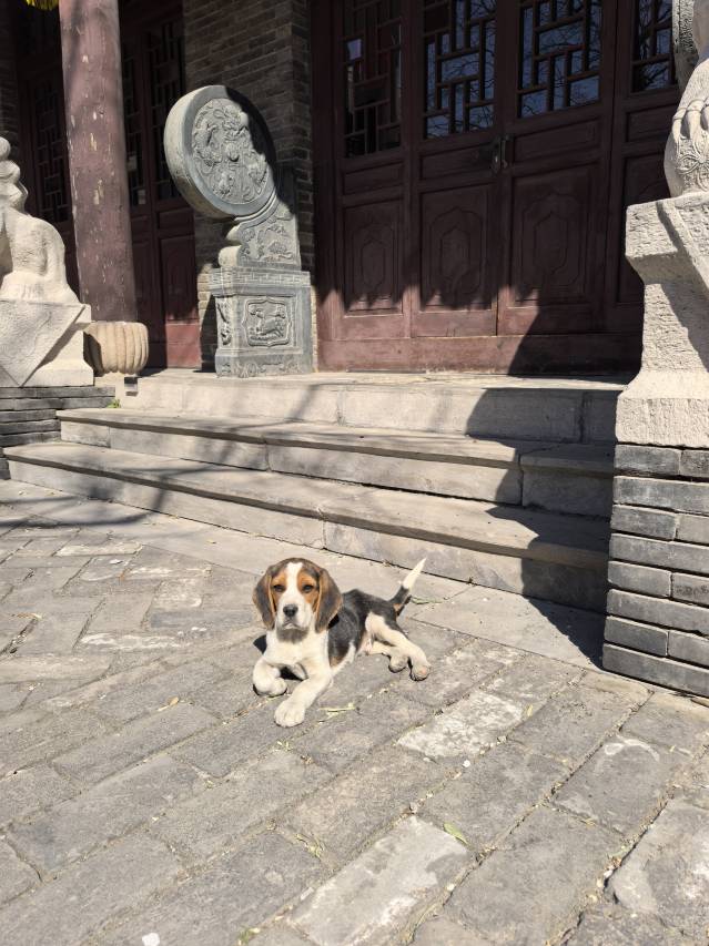 周村·锦巷|Leisure Vacation状元府(淄博周村古商城店)图片