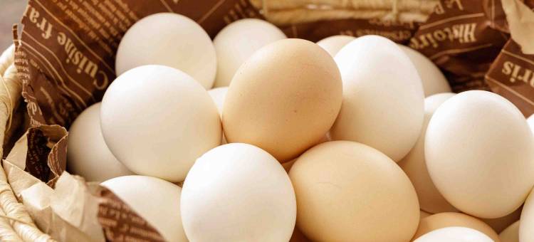 高知播磨屋西铁酒店(Nishitetsu Inn Kochi Harimayabashi)图片