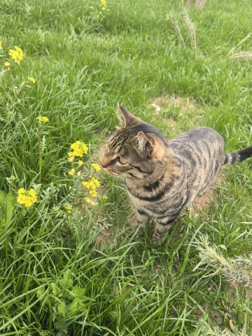 探索秘境·乡野村落(特克斯店)图片